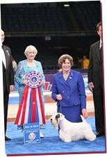 Margery & Charmin taking the title of AKC/Eukanuba National Champion Photo: �Courtesy of American Kennel Club.�