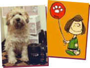 Lulu & Peppermint Patty
