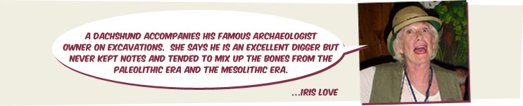 A Dachshund accompanies his famous archaeologist owner on excavations. She says he is an excellent digger but never kept notes and tended to mix up the bones from the Paleolithic era and the Mesolithic era.