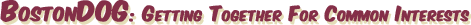 BostonDOG: Getting Together For Common Interests